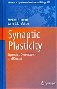 Synaptic Plasticity: Dynamics, Development and Disease (Hardcover, 2012)