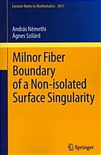 Milnor Fiber Boundary of a Non-Isolated Surface Singularity (Paperback)