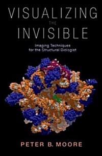 Visualizing the Invisible: Imaging Techniques for the Structural Biologist (Hardcover)