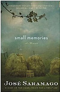 Small Memories (Paperback)