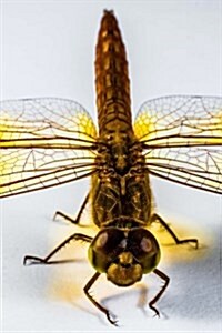 Yellow Winged Dragonfly Journal: Take Notes, Write Down Memories in this 150 Page Lined Journal (Paperback)