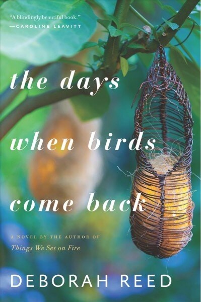 The Days When Birds Come Back (Paperback)