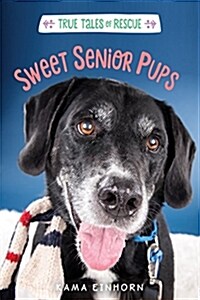 Sweet Senior Pups (Hardcover)