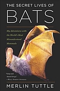 The Secret Lives of Bats: My Adventures with the Worlds Most Misunderstood Mammals (Paperback)