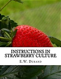 Instructions in Strawberry Culture: Or, How to Grow Strawberries (Paperback)