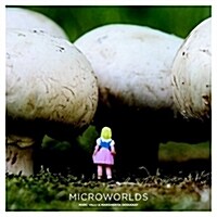 Microworlds (Paperback)