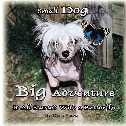 Small Dog - Big Adventure: It All Started with a Butterfly (Paperback)