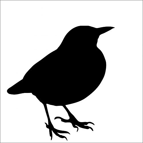 Blackbird Song (Paperback)