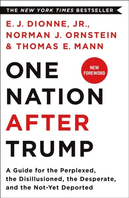 One Nation After Trump: A Guide for the Perplexed, the Disillusioned, the Desperate, and the Not-Yet Deported (Paperback)