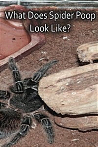 What Does Spider Poop Look Like? (Paperback)