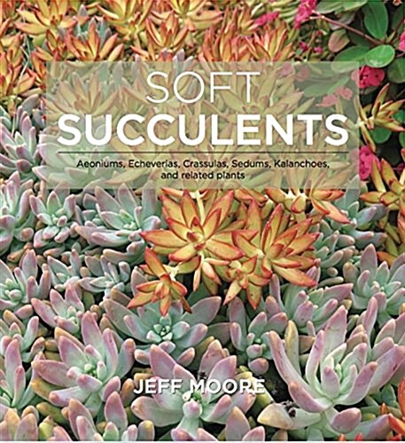Soft Succulents: Aeoniums, Echeverias, Crassulas, Sedums, Kalanchoes, and Related Plants (Paperback)