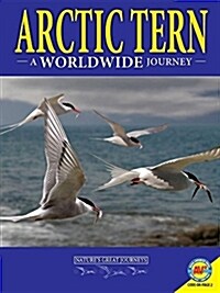 Arctic Terns: A Worldwide Journey (Library Binding)