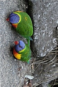 Wild Pair of Rainbow Lorikeet Parrots Journal: Take Notes, Write Down Memories in This 150 Page Lined Journal (Paperback)