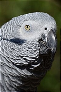 Partial Side Profile of an African Grey Parrot Journal: Take Notes, Write Down Memories in This 150 Page Lined Journal (Paperback)