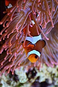 An Anemone and a Clown Fish in the Ocean Journal: Take Notes, Write Down Memories in This 150 Page Lined Journal (Paperback)