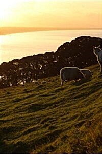 Sheep in a New Zealand Pasture at Sunset Journal: Take Notes, Write Down Memories in This 150 Page Lined Journal (Paperback)
