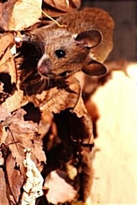 Cute Little Field Mouse and the Leaves of Fall Journal: Take Notes, Write Down Memories in This 150 Page Lined Journal (Paperback)