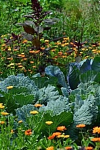 White Cabbage in the Garden Journal: Take Notes, Write Down Memories in This 150 Page Lined Journal (Paperback)