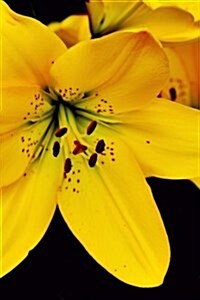 Brilliant Yellow Lily Flowers Journal: Take Notes, Write Down Memories in This 150 Page Lined Journal (Paperback)