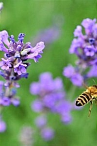 Lavender and a Bee in the Garden Journal: Take Notes, Write Down Memories in This 150 Page Lined Journal (Paperback)