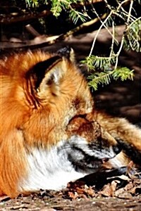 Red Fox Napping in the Shade Journal: Take Notes, Write Down Memories in This 150 Page Lined Journal (Paperback)