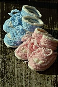 Pink and Blue Baby Shoes on a Bench Journal: Take Notes, Write Down Memories in This 150 Page Lined Journal (Paperback)