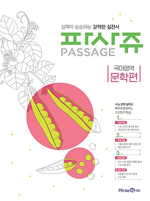 파사쥬 PASSAGE 국어영역 문학편 (2019년용)