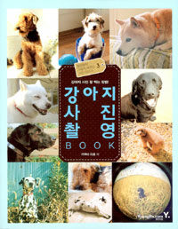 강아지 사진 촬영 book 