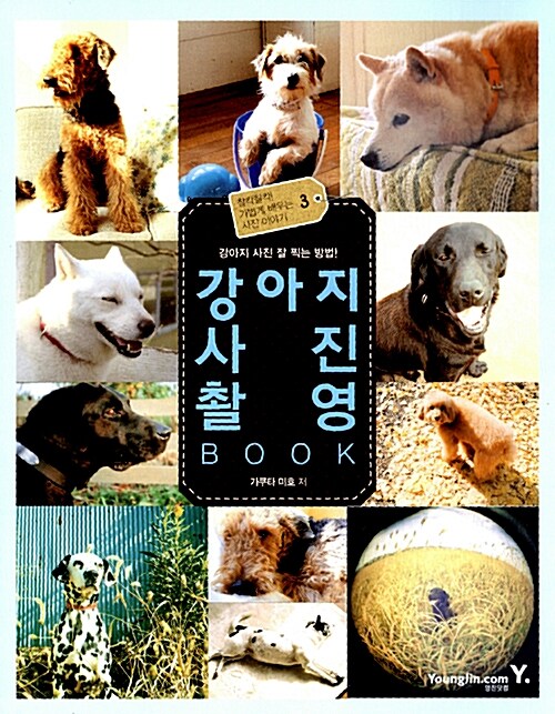 [중고] 강아지 사진 촬영 BOOK