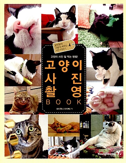 [중고] 고양이 사진 촬영 Book