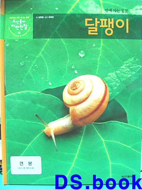 달팽이 표지이미지