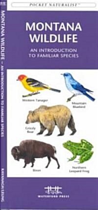 Montana Wildlife: A Folding Pocket Guide to Familiar Animals (Other)