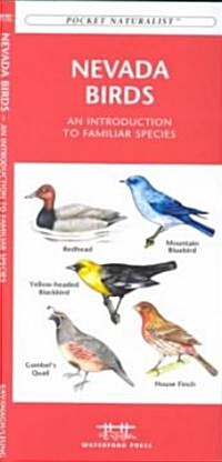 Nevada Birds: A Folding Pocket Guide to Familiar Species (Paperback)
