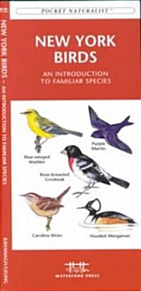 New York State Birds: A Folding Pocket Guide to Familiar Species (Other)