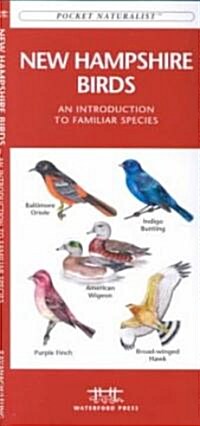 New Hampshire Birds: A Folding Pocket Guide to Familiar Species (Paperback)