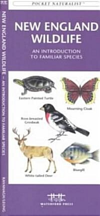 New England Wildlife: A Folding Pocket Guide to Familiar Animals (Paperback)