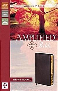 Amplified Bible-AM (Bonded Leather)