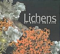 Lichens of North America (Hardcover)