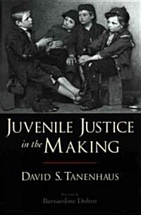 Juvenile Justice in the Making (Paperback)