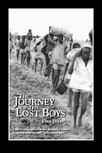 The Journey of the Lost Boys (Paperback, 1st)