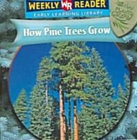How Pine Trees Grow (Paperback)
