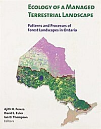 Ecology of a Managed Terrestrial Landscape: Patterns and Processes of Forest Landscapes in Ontario (Paperback)