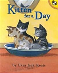 [중고] Kitten for a Day (Paperback)