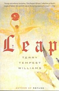 Leap (Paperback, Reprint)