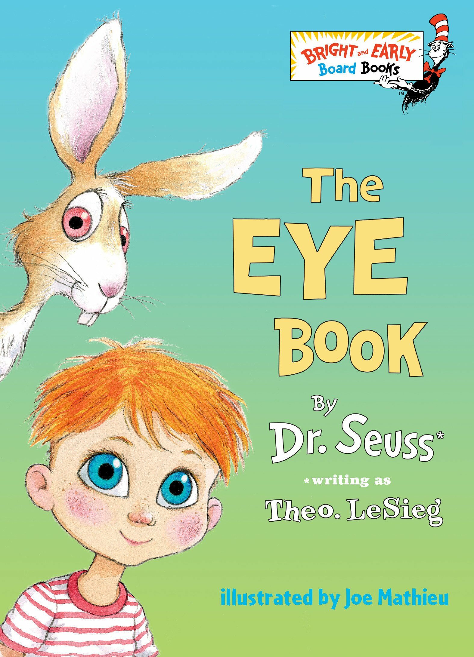 [중고] The Eye Book (Board Books)