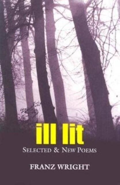 Ill Lit: Selected & New Poems Volume 7 (Paperback)