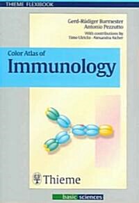 [중고] Color Atlas of Immunology (Paperback)