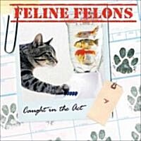 Feline Felons: Caught in the ACT (Hardcover)