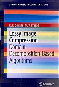 Lossy Image Compression : Domain Decomposition-Based Algorithms (Paperback, 2011)