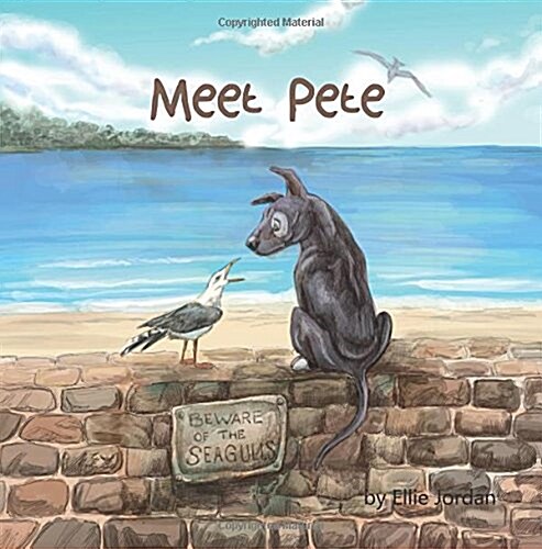 Meet Pete (Paperback)